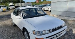 WhatsApp Image 2022-09-13 at 9.16.19 AM